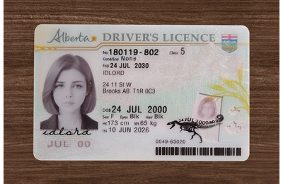 Alberta (Alta) Fake DL (2026 Version)